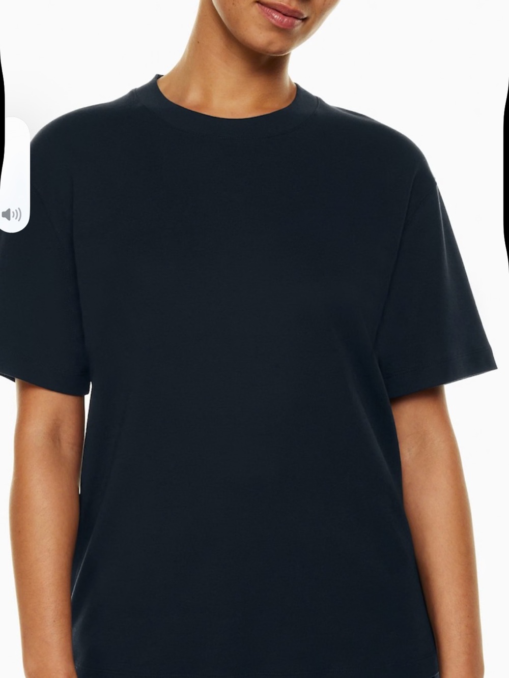 NWOT Aritzia BABATON Pegasus tshirt